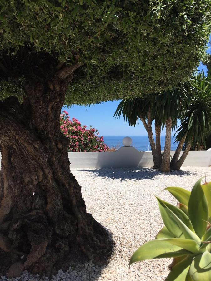 Casa Capricornio Bed & Breakfast Marbella Exterior foto